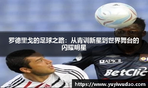 罗德里戈的足球之路：从青训新星到世界舞台的闪耀明星